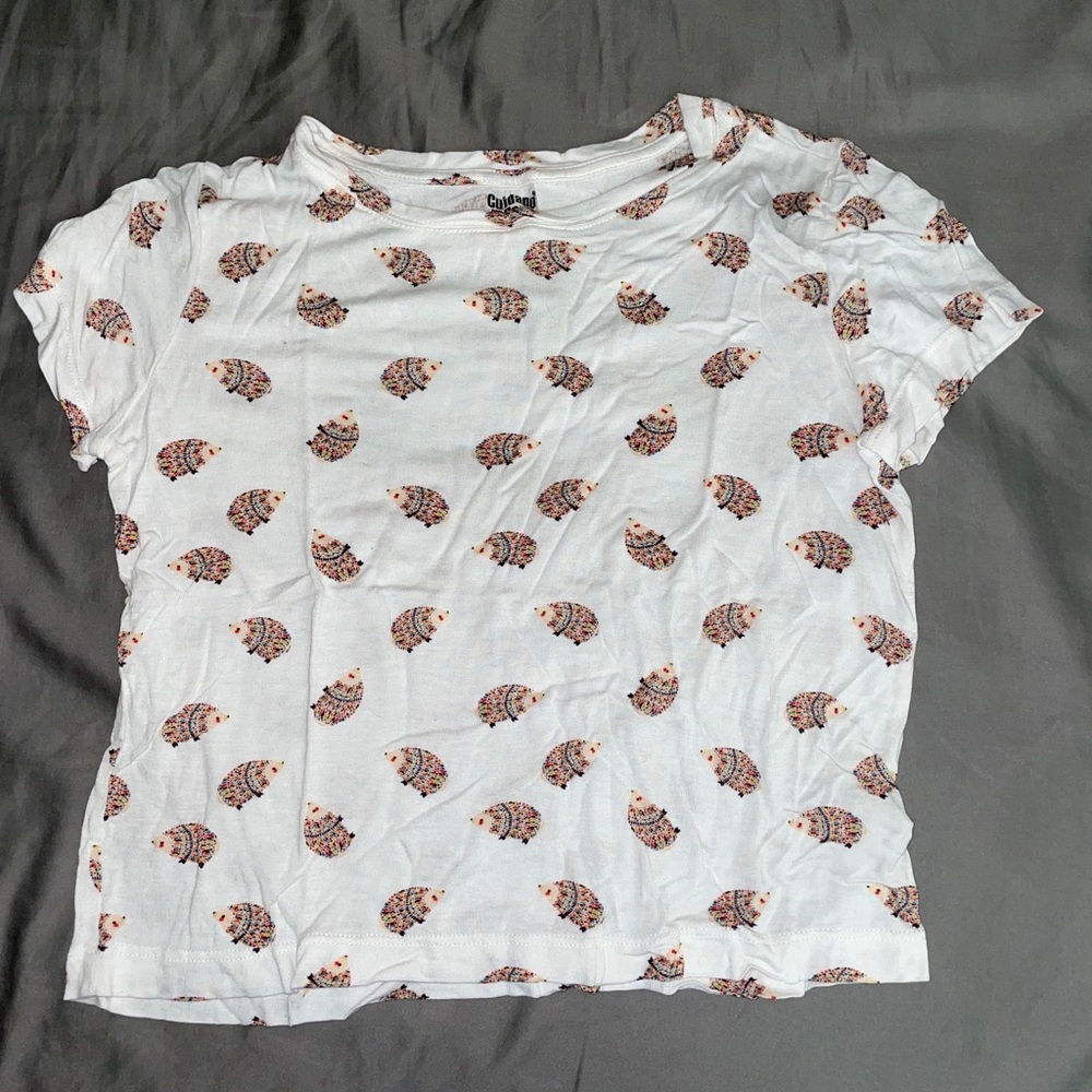 Hedgehog crop top
